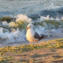 фото из отзыва ID 552294