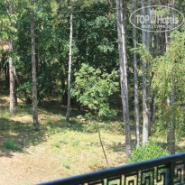 фото из отзыва ID 552294