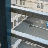 фото из отзыва ID 552708