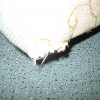 фото из отзыва ID 552708