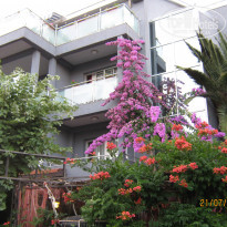 фото из отзыва ID 552738