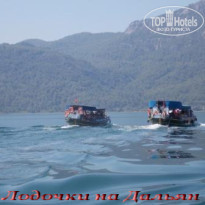 фото из отзыва ID 552761