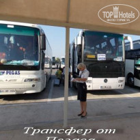 фото из отзыва ID 552761