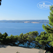 фото из отзыва ID 552982