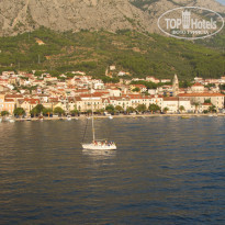 фото из отзыва ID 552982