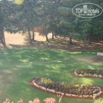 фото из отзыва ID 55398