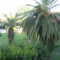 фото из отзыва ID 553139