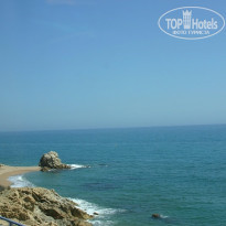 фото из отзыва ID 553303