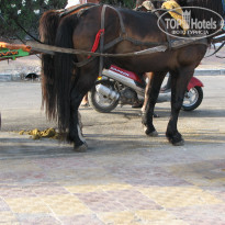 фото из отзыва ID 553731