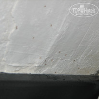 фото из отзыва ID 553731