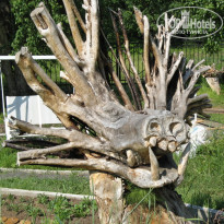 фото из отзыва ID 553769