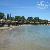 фото из отзыва ID 553965