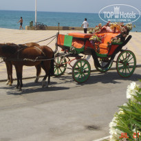 фото из отзыва ID 553992