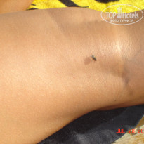 фото из отзыва ID 553992