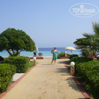 фото из отзыва ID 553975