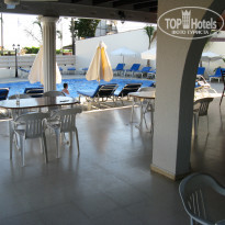 фото из отзыва ID 554367