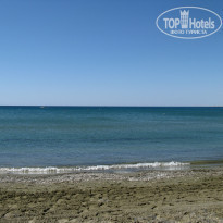 фото из отзыва ID 554367