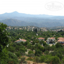 фото из отзыва ID 554367