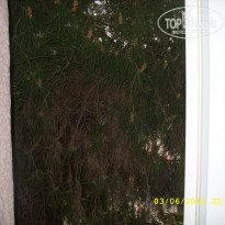 фото из отзыва ID 554274