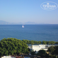 фото из отзыва ID 554674