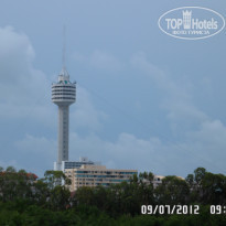 фото из отзыва ID 554764