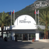 фото из отзыва ID 554782