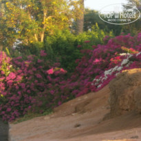 фото из отзыва ID 555001