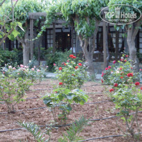 фото из отзыва ID 555108