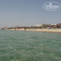 фото из отзыва ID 555313