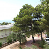 фото из отзыва ID 555417