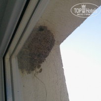 фото из отзыва ID 555472