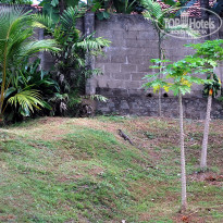 фото из отзыва ID 555572