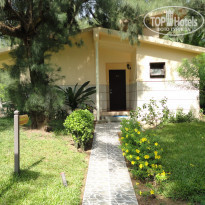 фото из отзыва ID 555582