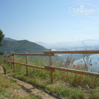 фото из отзыва ID 555993