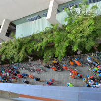 фото из отзыва ID 555584