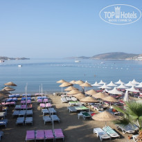 фото из отзыва ID 556295