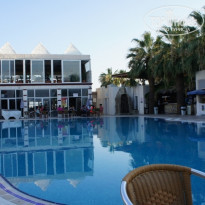 фото из отзыва ID 556295