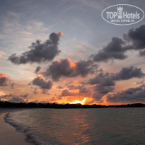 фото из отзыва ID 556301