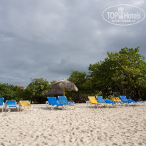 фото из отзыва ID 556305