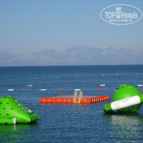 фото из отзыва ID 556308