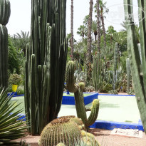 фото из отзыва ID 556299