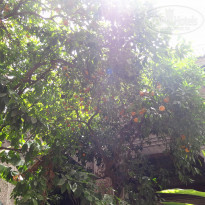 фото из отзыва ID 556299