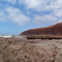 фото из отзыва ID 556299