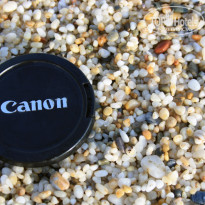 фото из отзыва ID 556523