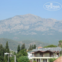 фото из отзыва ID 556541