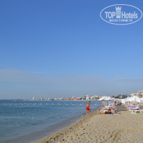 фото из отзыва ID 556543