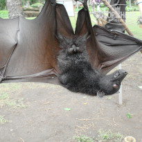 фото из отзыва ID 556874