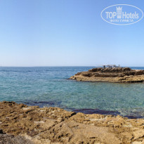 фото из отзыва ID 556538