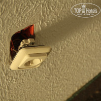 фото из отзыва ID 557097