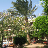 фото из отзыва ID 557182